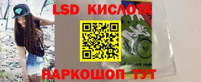 крисы Шахты